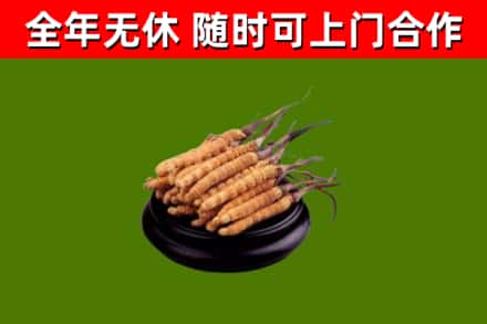 高雄市烟酒回收冬虫夏草.jpg